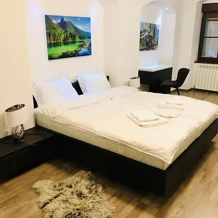 Joy George Enescu 5 *