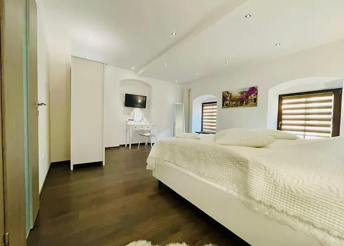 Joy George Enescu 5 Μπρασόβ